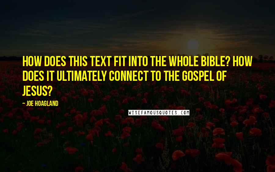 Joe Hoagland Quotes: How does this text fit into the whole Bible? How does it ultimately connect to the gospel of Jesus?