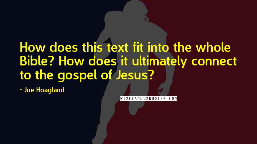 Joe Hoagland Quotes: How does this text fit into the whole Bible? How does it ultimately connect to the gospel of Jesus?