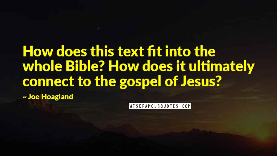 Joe Hoagland Quotes: How does this text fit into the whole Bible? How does it ultimately connect to the gospel of Jesus?