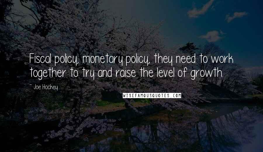 Joe Hockey Quotes: Fiscal policy, monetary policy, they need to work together to try and raise the level of growth.