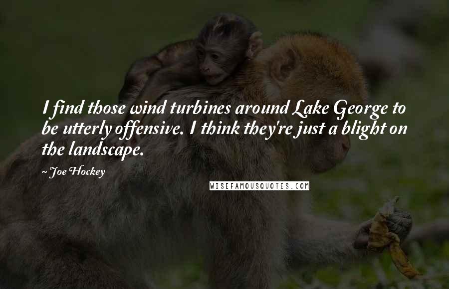 Joe Hockey Quotes: I find those wind turbines around Lake George to be utterly offensive. I think they're just a blight on the landscape.
