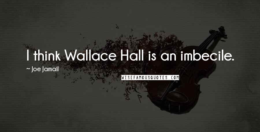 Joe Jamail Quotes: I think Wallace Hall is an imbecile.