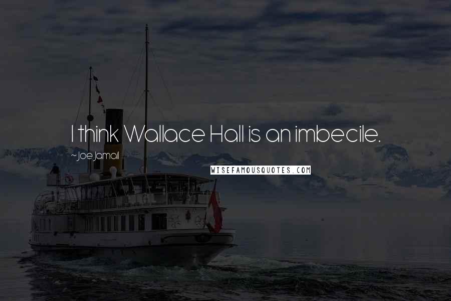 Joe Jamail Quotes: I think Wallace Hall is an imbecile.