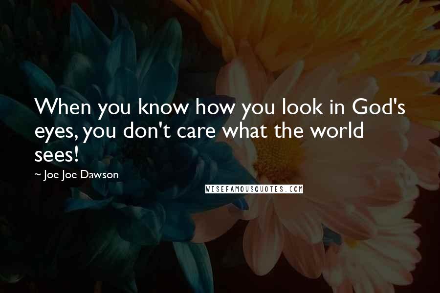 Joe Joe Dawson Quotes: When you know how you look in God's eyes, you don't care what the world sees!