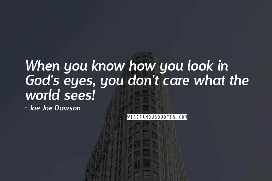 Joe Joe Dawson Quotes: When you know how you look in God's eyes, you don't care what the world sees!