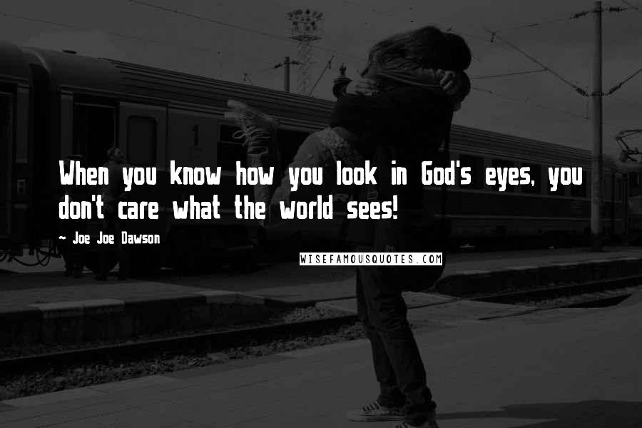 Joe Joe Dawson Quotes: When you know how you look in God's eyes, you don't care what the world sees!