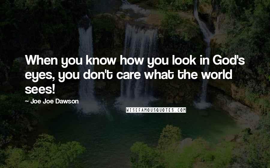 Joe Joe Dawson Quotes: When you know how you look in God's eyes, you don't care what the world sees!