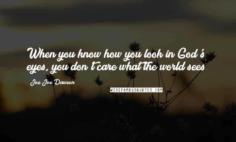 Joe Joe Dawson Quotes: When you know how you look in God's eyes, you don't care what the world sees!