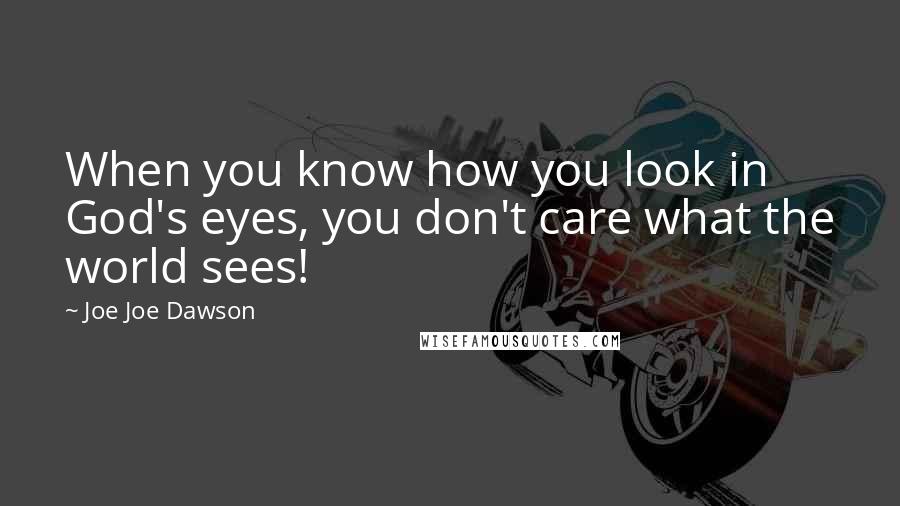 Joe Joe Dawson Quotes: When you know how you look in God's eyes, you don't care what the world sees!