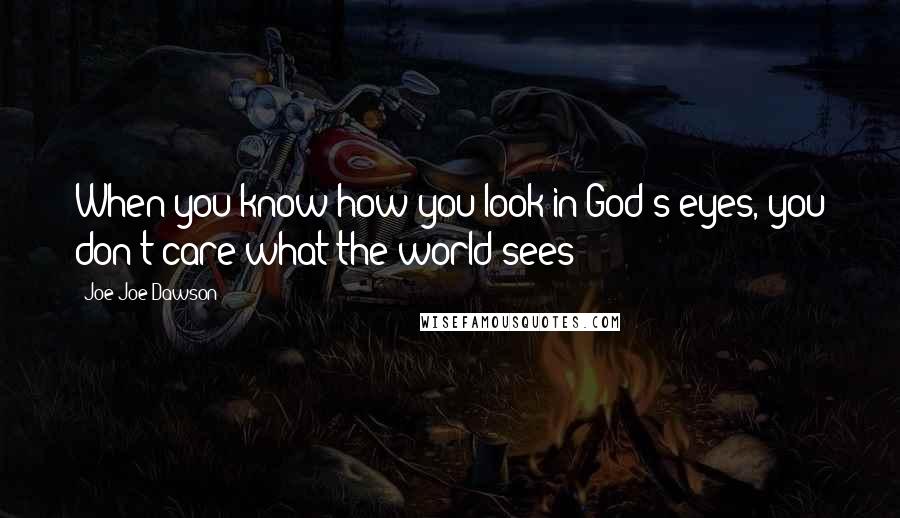 Joe Joe Dawson Quotes: When you know how you look in God's eyes, you don't care what the world sees!