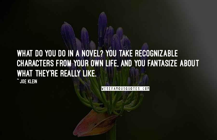 Joe Klein Quotes: What do you do in a novel? You take recognizable characters from your own life, and you fantasize about what they're really like.