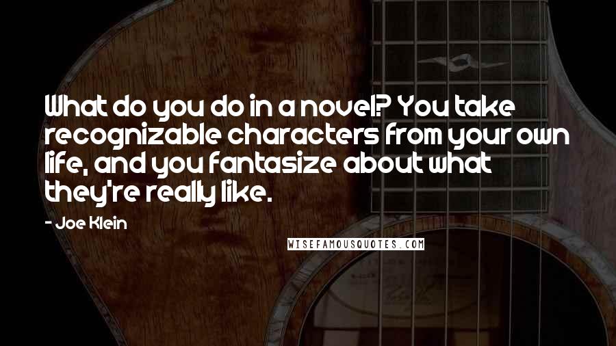 Joe Klein Quotes: What do you do in a novel? You take recognizable characters from your own life, and you fantasize about what they're really like.