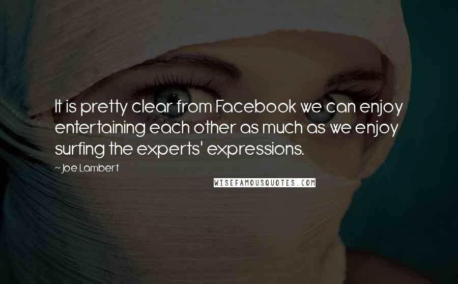 Joe Lambert Quotes: It is pretty clear from Facebook we can enjoy entertaining each other as much as we enjoy surfing the experts' expressions.