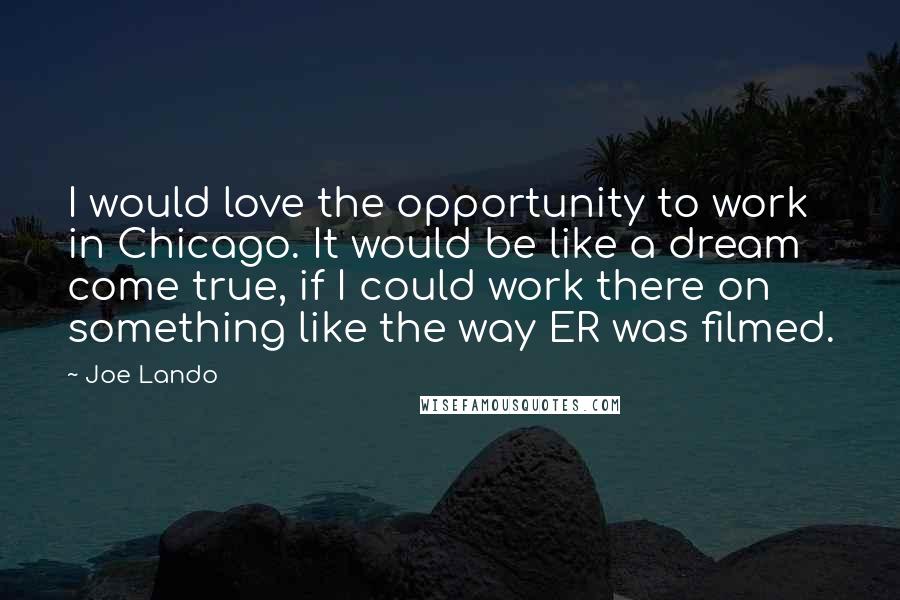 Joe Lando Quotes: I would love the opportunity to work in Chicago. It would be like a dream come true, if I could work there on something like the way ER was filmed.