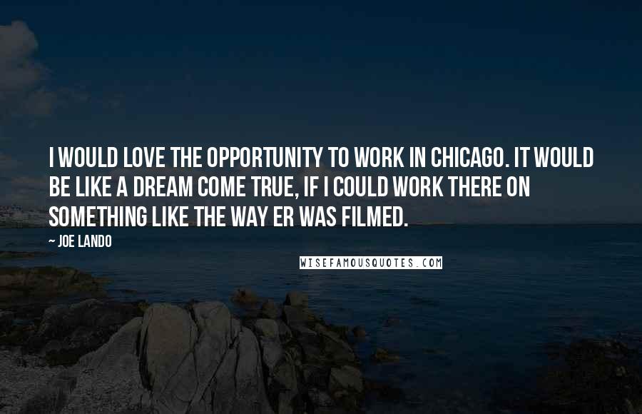 Joe Lando Quotes: I would love the opportunity to work in Chicago. It would be like a dream come true, if I could work there on something like the way ER was filmed.
