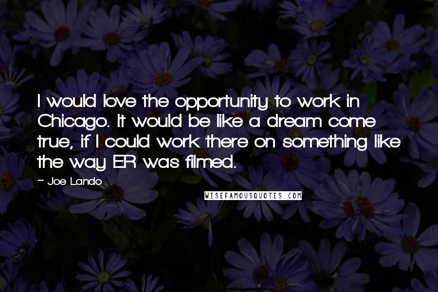 Joe Lando Quotes: I would love the opportunity to work in Chicago. It would be like a dream come true, if I could work there on something like the way ER was filmed.
