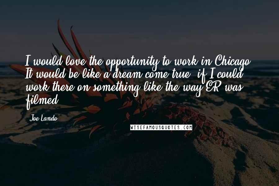 Joe Lando Quotes: I would love the opportunity to work in Chicago. It would be like a dream come true, if I could work there on something like the way ER was filmed.