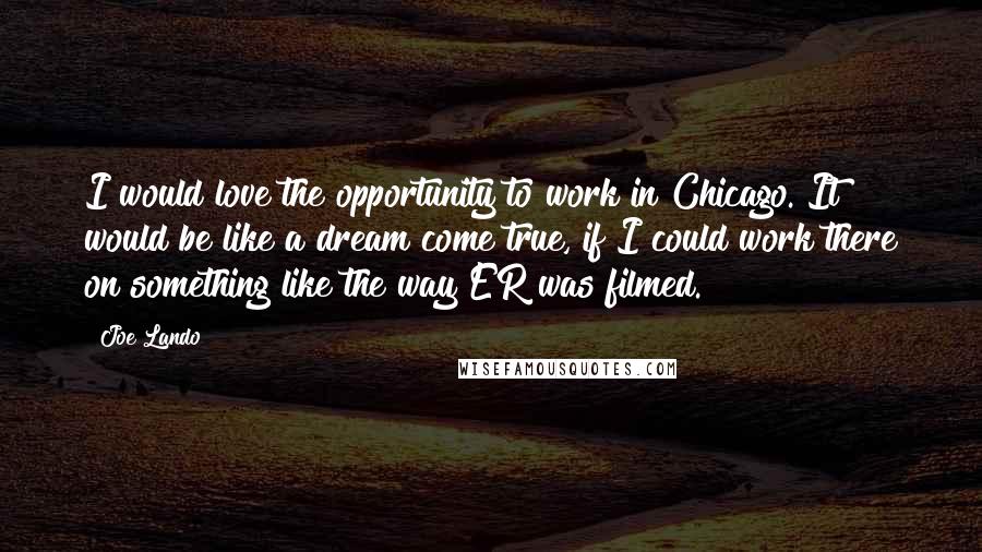 Joe Lando Quotes: I would love the opportunity to work in Chicago. It would be like a dream come true, if I could work there on something like the way ER was filmed.