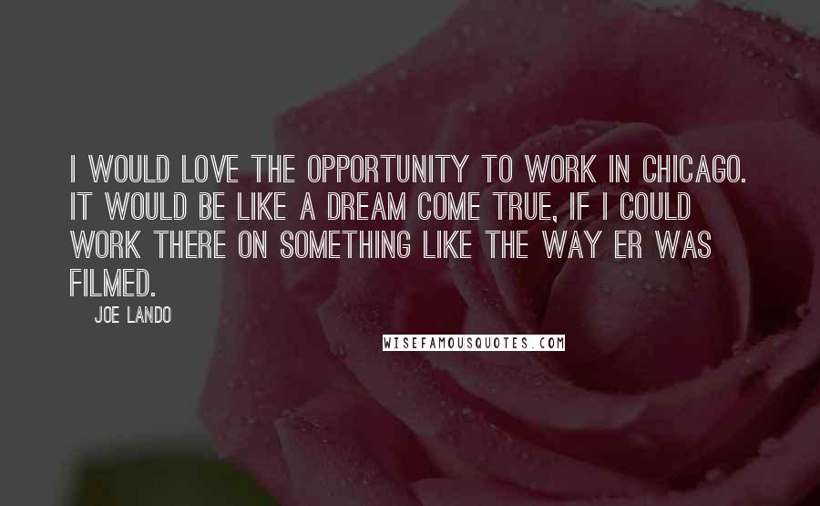 Joe Lando Quotes: I would love the opportunity to work in Chicago. It would be like a dream come true, if I could work there on something like the way ER was filmed.