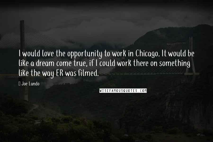 Joe Lando Quotes: I would love the opportunity to work in Chicago. It would be like a dream come true, if I could work there on something like the way ER was filmed.