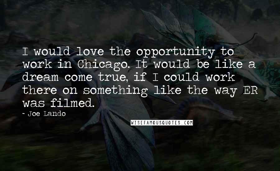 Joe Lando Quotes: I would love the opportunity to work in Chicago. It would be like a dream come true, if I could work there on something like the way ER was filmed.