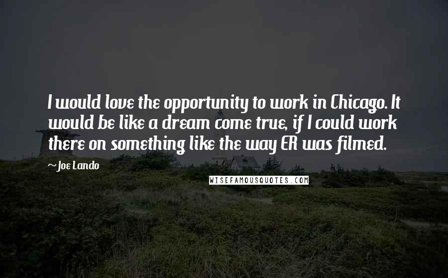 Joe Lando Quotes: I would love the opportunity to work in Chicago. It would be like a dream come true, if I could work there on something like the way ER was filmed.