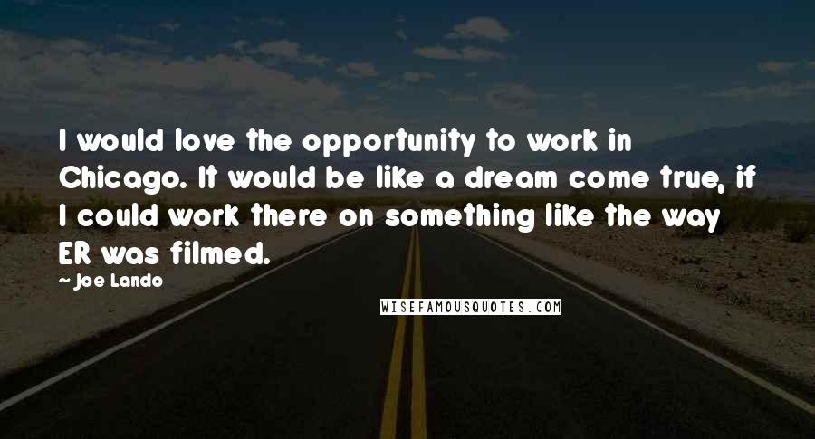 Joe Lando Quotes: I would love the opportunity to work in Chicago. It would be like a dream come true, if I could work there on something like the way ER was filmed.