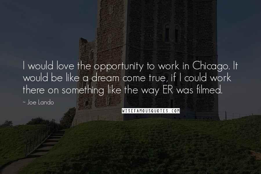 Joe Lando Quotes: I would love the opportunity to work in Chicago. It would be like a dream come true, if I could work there on something like the way ER was filmed.