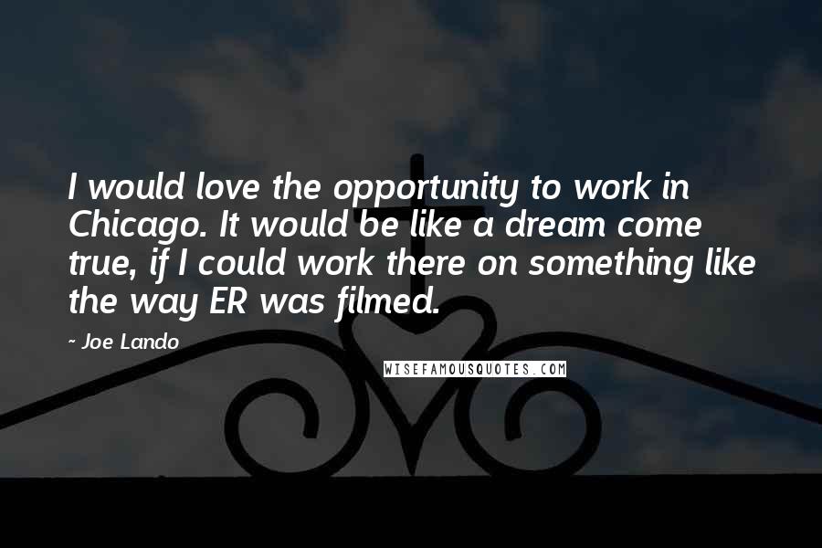 Joe Lando Quotes: I would love the opportunity to work in Chicago. It would be like a dream come true, if I could work there on something like the way ER was filmed.