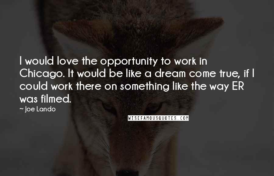 Joe Lando Quotes: I would love the opportunity to work in Chicago. It would be like a dream come true, if I could work there on something like the way ER was filmed.
