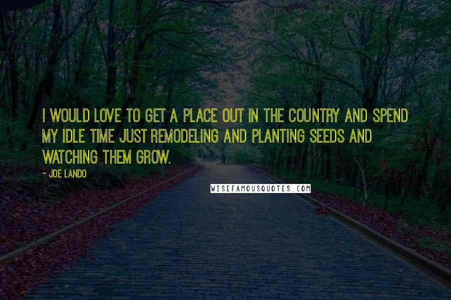 Joe Lando Quotes: I would love to get a place out in the country and spend my idle time just remodeling and planting seeds and watching them grow.