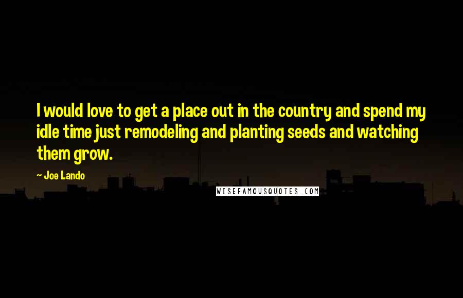 Joe Lando Quotes: I would love to get a place out in the country and spend my idle time just remodeling and planting seeds and watching them grow.