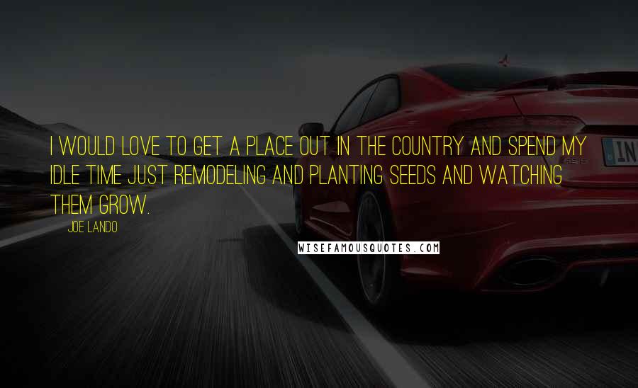 Joe Lando Quotes: I would love to get a place out in the country and spend my idle time just remodeling and planting seeds and watching them grow.