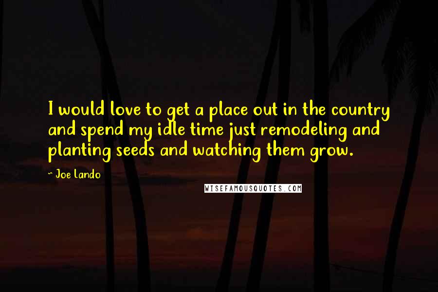 Joe Lando Quotes: I would love to get a place out in the country and spend my idle time just remodeling and planting seeds and watching them grow.