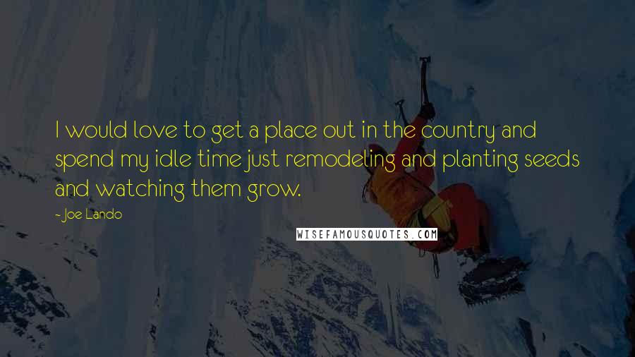 Joe Lando Quotes: I would love to get a place out in the country and spend my idle time just remodeling and planting seeds and watching them grow.