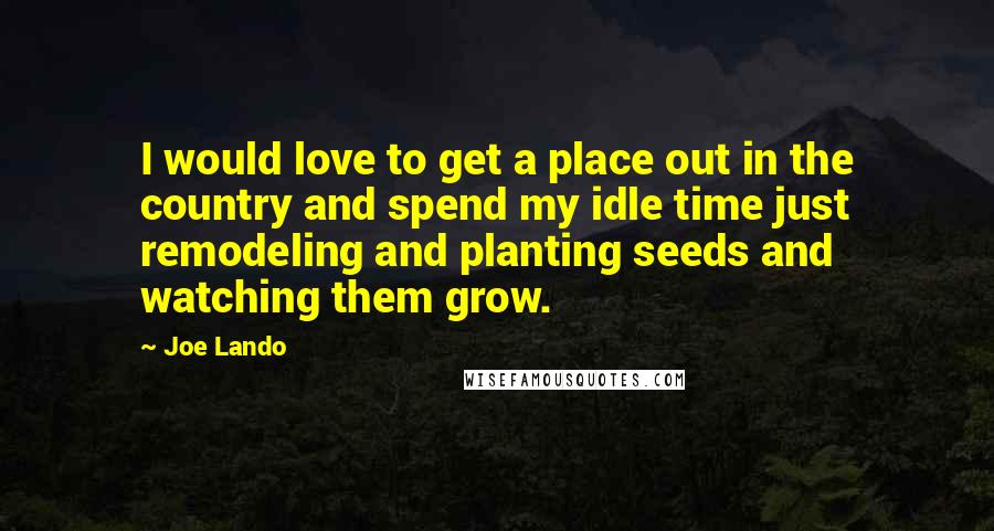 Joe Lando Quotes: I would love to get a place out in the country and spend my idle time just remodeling and planting seeds and watching them grow.