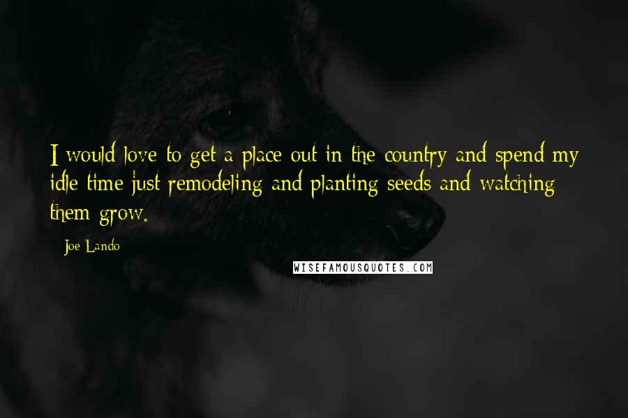 Joe Lando Quotes: I would love to get a place out in the country and spend my idle time just remodeling and planting seeds and watching them grow.