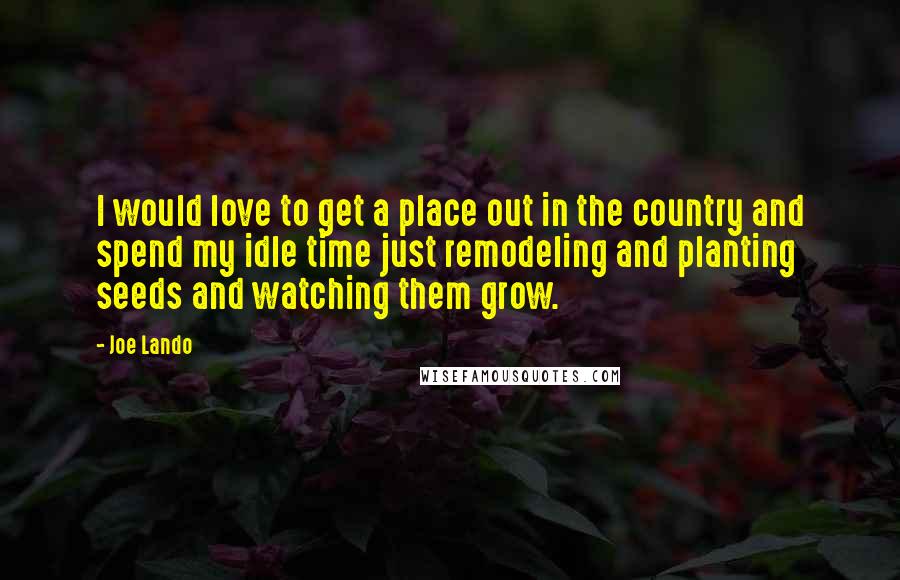 Joe Lando Quotes: I would love to get a place out in the country and spend my idle time just remodeling and planting seeds and watching them grow.