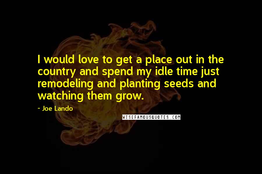 Joe Lando Quotes: I would love to get a place out in the country and spend my idle time just remodeling and planting seeds and watching them grow.