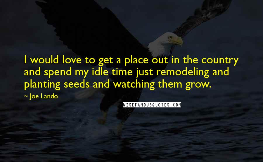 Joe Lando Quotes: I would love to get a place out in the country and spend my idle time just remodeling and planting seeds and watching them grow.