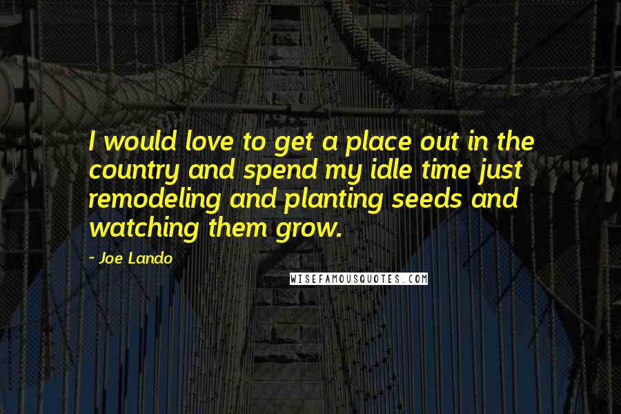 Joe Lando Quotes: I would love to get a place out in the country and spend my idle time just remodeling and planting seeds and watching them grow.