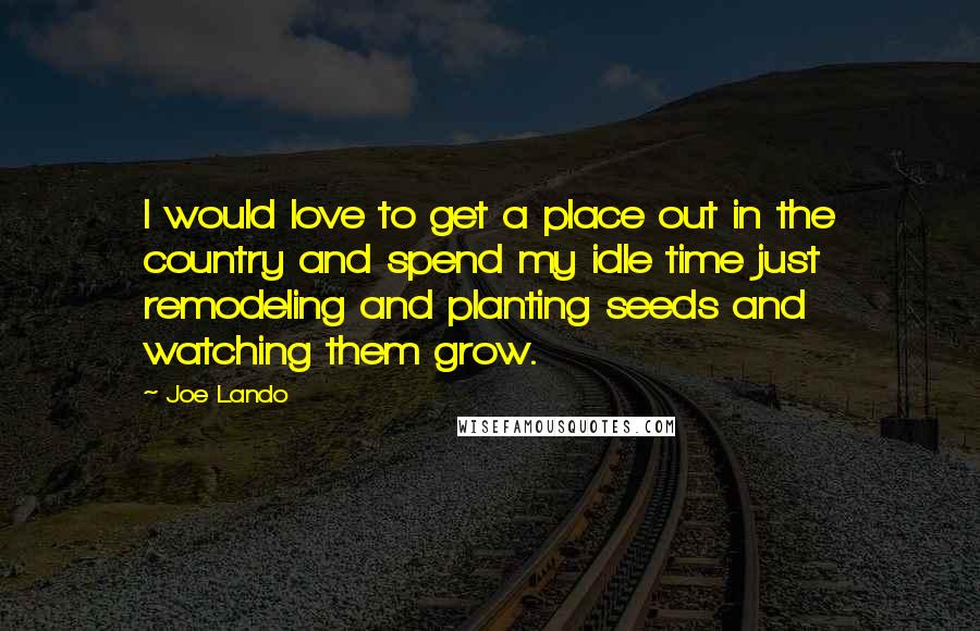 Joe Lando Quotes: I would love to get a place out in the country and spend my idle time just remodeling and planting seeds and watching them grow.