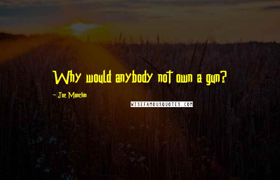 Joe Manchin Quotes: Why would anybody not own a gun?