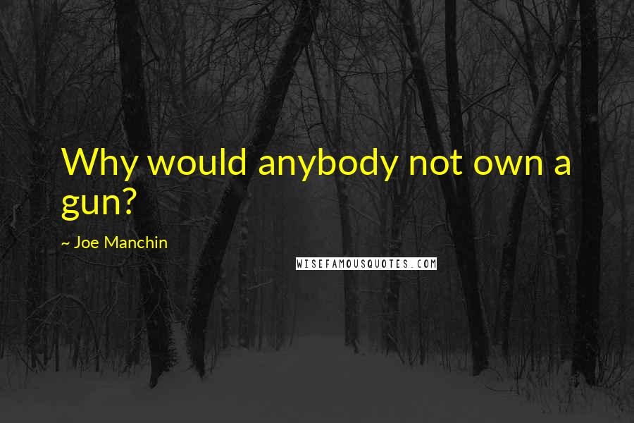 Joe Manchin Quotes: Why would anybody not own a gun?