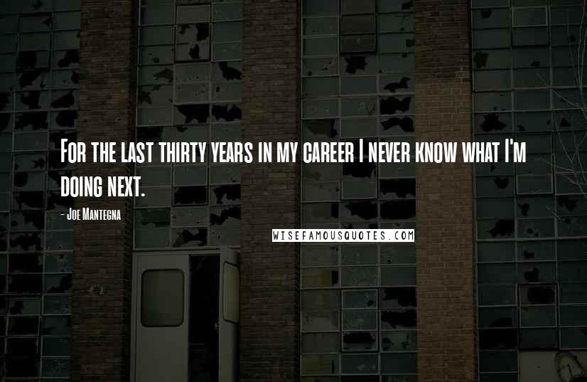Joe Mantegna Quotes: For the last thirty years in my career I never know what I'm doing next.