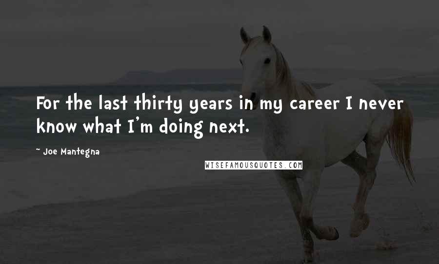 Joe Mantegna Quotes: For the last thirty years in my career I never know what I'm doing next.