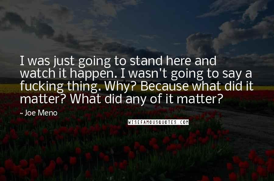 Joe Meno Quotes: I was just going to stand here and watch it happen. I wasn't going to say a fucking thing. Why? Because what did it matter? What did any of it matter?