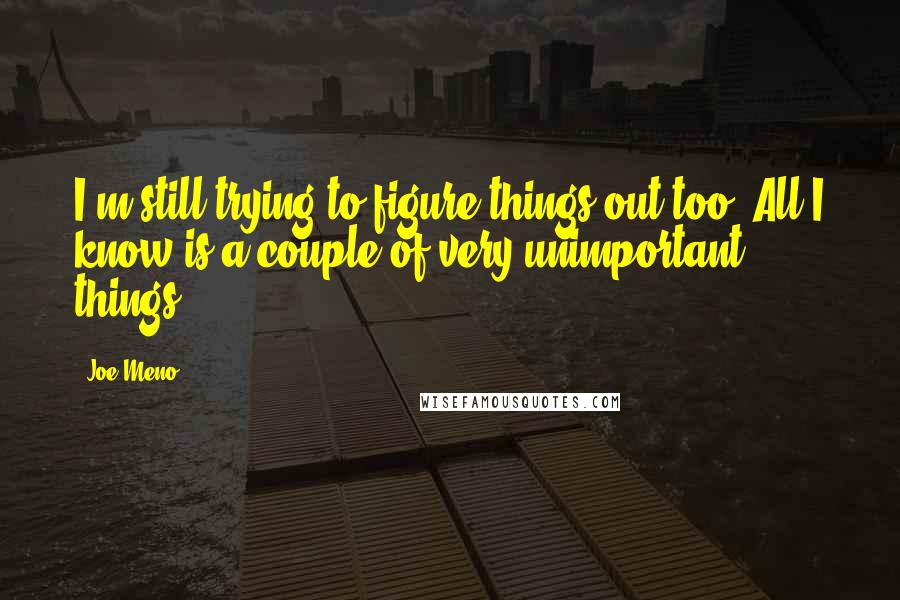 Joe Meno Quotes: I'm still trying to figure things out too. All I know is a couple of very unimportant things.