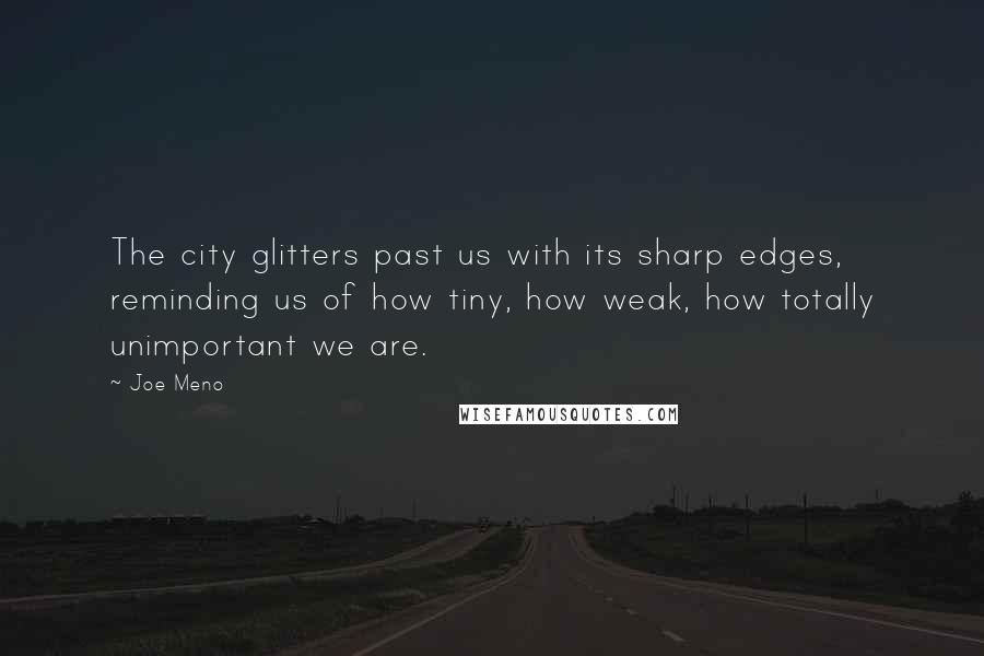 Joe Meno Quotes: The city glitters past us with its sharp edges, reminding us of how tiny, how weak, how totally unimportant we are.