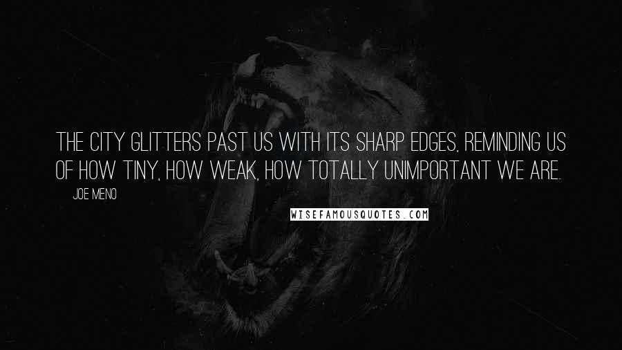 Joe Meno Quotes: The city glitters past us with its sharp edges, reminding us of how tiny, how weak, how totally unimportant we are.